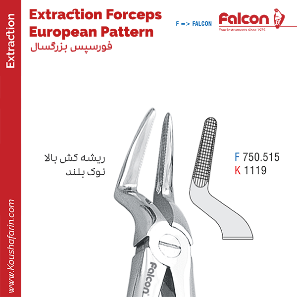 فورسپس ریشه کش بالا نوک بلند//کوشا-Kousha/فالکن-Falcon