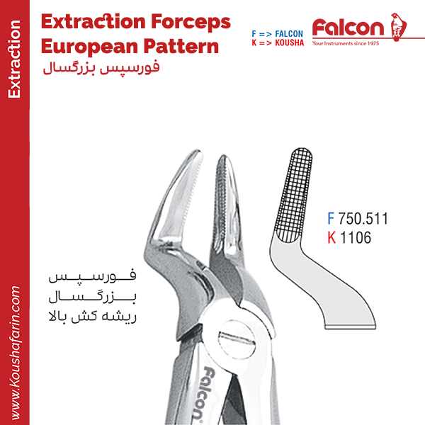 فورسپس ریشه کش بالا//کوشا-Kousha/فالکن-Falcon